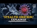 ‘Stealth Omicron’: How dangerous is the pandemic’s new highly infectious strain of Covid-19?