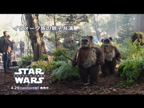 本物の親子が共演 イウォーク族のキャスティング スター ウォーズ スカイウォーカーの夜明け Movienex Youtube