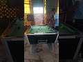 #shortvideo #shorts #pool #pool