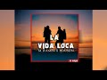 M Damin X HOUSSAIN La Vida Loca Audio