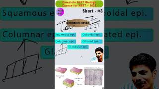 Types of Epithelial tissue #shorts   #neet2026 ##motivation #neetbiology #neetaspirants #education