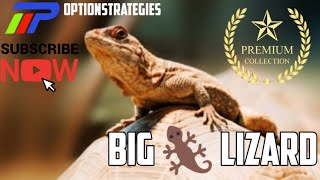Big Lizard Option Strategy