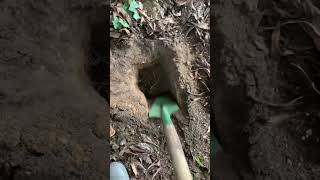 This is great way to compost your scraps if you dont have a designated compost area.
