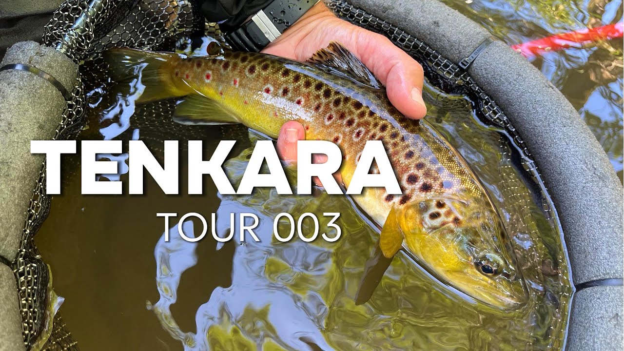 Tenkara Fliegenfischen lernen T003 #tenkara #fliegenfischen #flyfishing