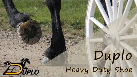 Duplo Heavy Duty Shoe (HDS) (EN)