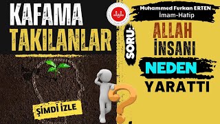 Soru: Allah İnsanı Neden Yarattı? | Muhammed Furkan ERTEN / Hüsrevpaşa Camii İmam-Hatibi