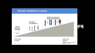 HOPP Summer Research Seminar Series: Cancer as a Genetic & Evolutionary Disease w/Marc Williams, PhD