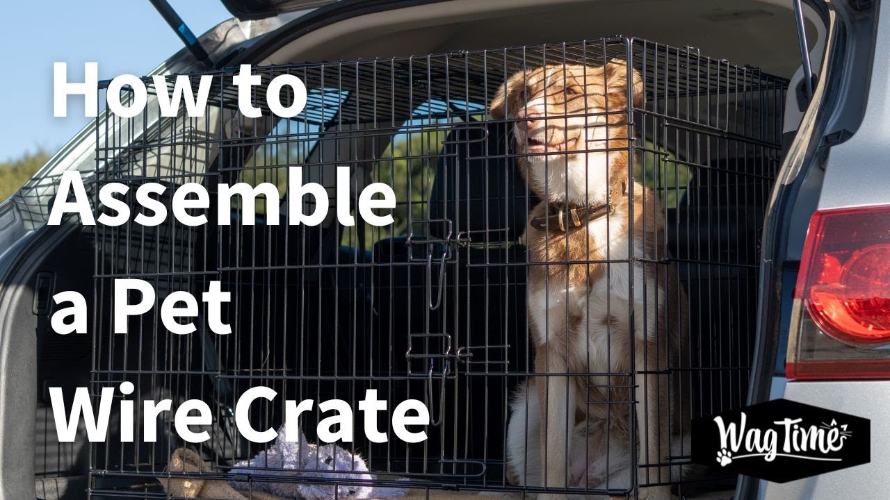 Curated visual reference: Gallery Detail: How To Assemble Your Wagtime Traveller Pet Wire Crate A