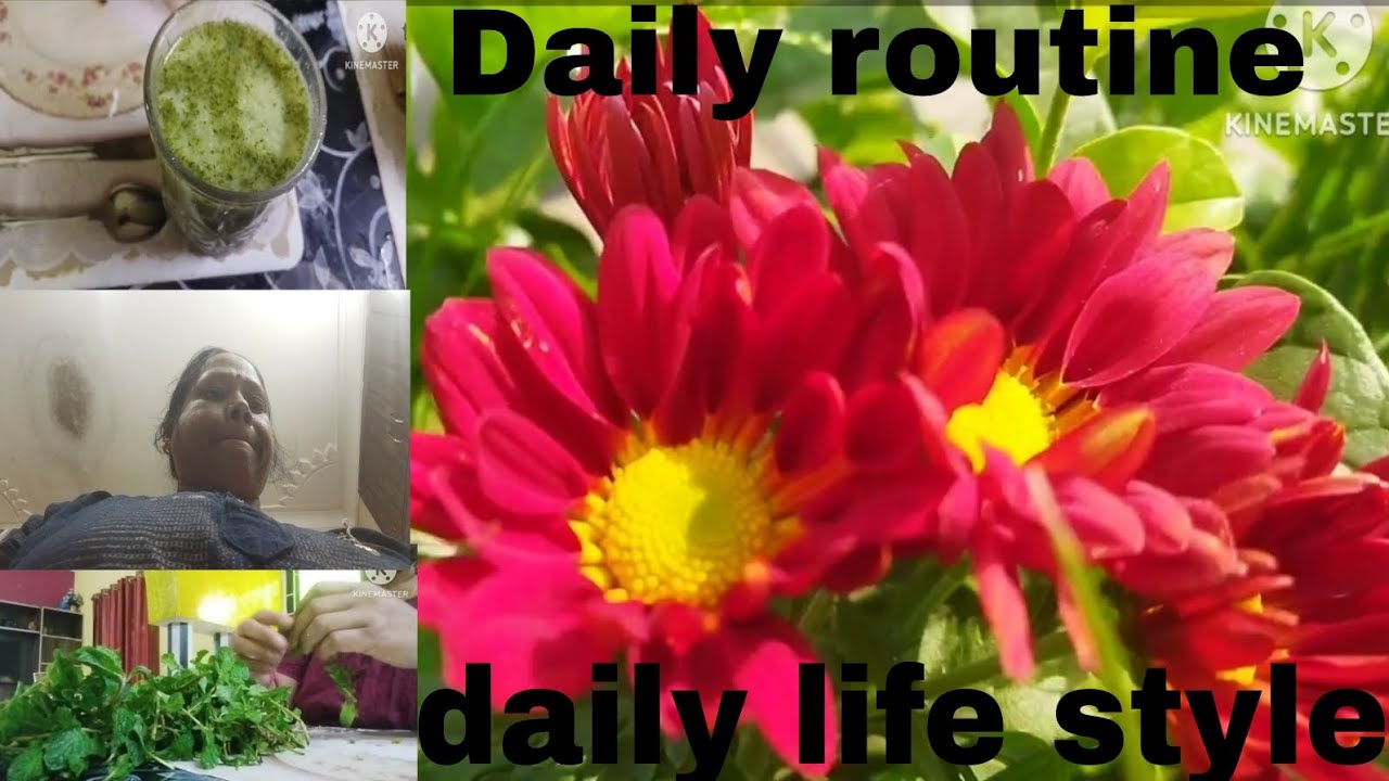 🏠 House wife ka time kese katta hai pura n se raat tak kese ek house wife kam karte hain by maitri 