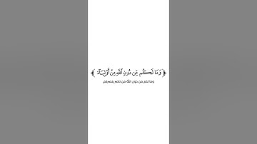 كروما شاشة بيضاء قرآن كريم 🌿تلاوة من سورة هود 🌿القارئ محمد صديق المنشاوي 🌿