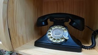 Wind phone memorial at South Carolina nature preserve uses conversation to navigate grief