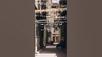 غيبة الحبايب ياه سايب علامه وسيرة حلوة على اللسان تامر عاشور 
