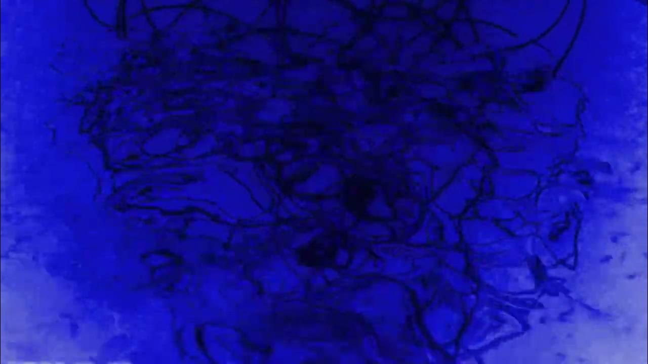 ytb fatt “calm it down” •slowed~reverb• - YouTube