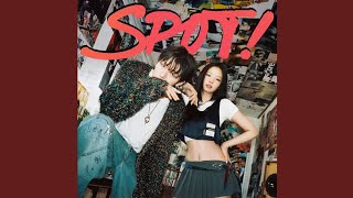 ZICO – SPOT! (feat. JENNIE) (Instrumental)