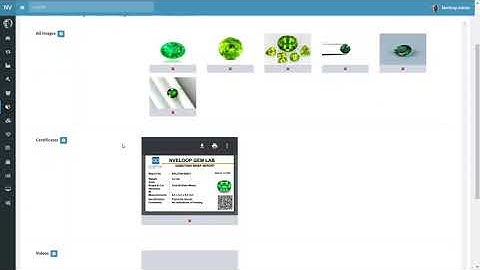 Item management - Gem merchant system