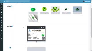 Item management - Gem merchant system screenshot 3