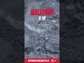 the finals fails