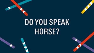 Hermès | Do you speak horse?