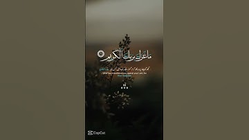 الشيخ عبدالباسط  #سورة_الانفطار #foryou #اكسبلور #memes #الشعب_الصيني_ماله_حل #duet #share #لايك #تي