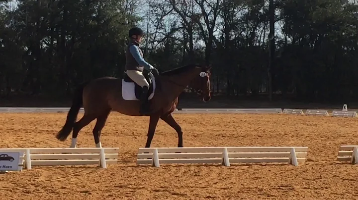 FOR SALE: Lickity Split ridden by Susan Beebee