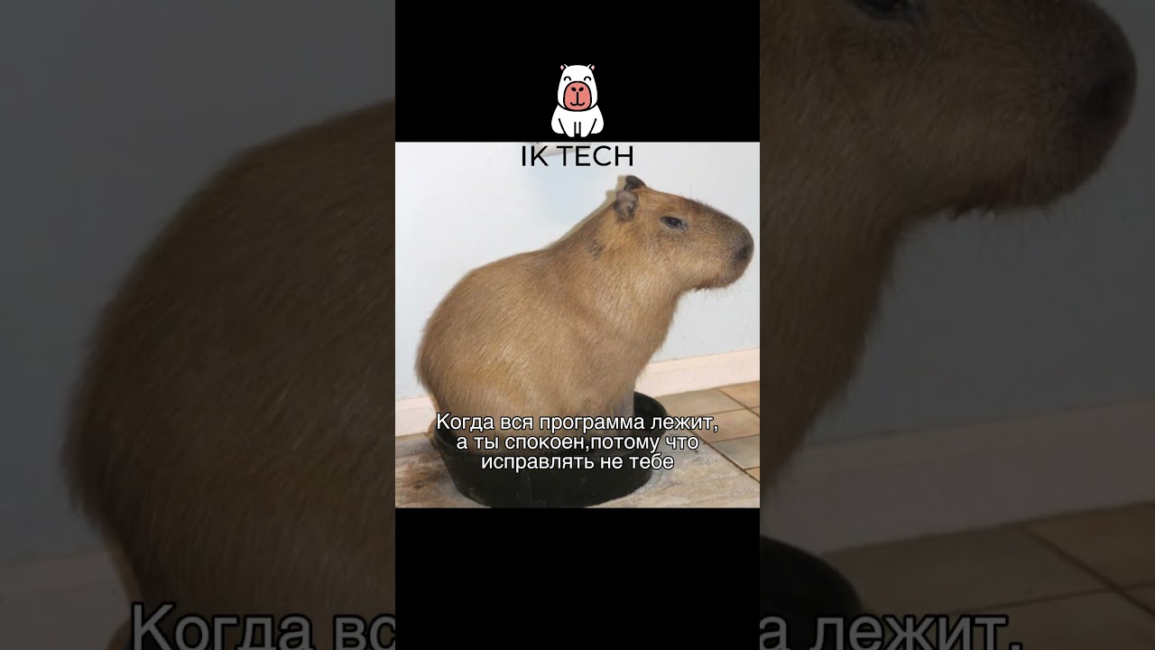 Система лежит? И что?