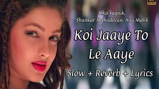 Dil Dil Dil | Sunidhi Chauhan & Divya Kumar | Slow + Reverb + Lyrics | Koi Jaaye To Le Aaye | Hindi