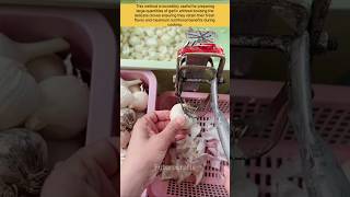 The Smart Way to Prep Garlic in Seconds