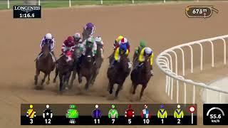 Vidéo de la course PMU UAE DERBY