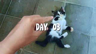 Day 03 by Akmal Bahtiar 303 views 1 month ago 9 minutes, 52 seconds