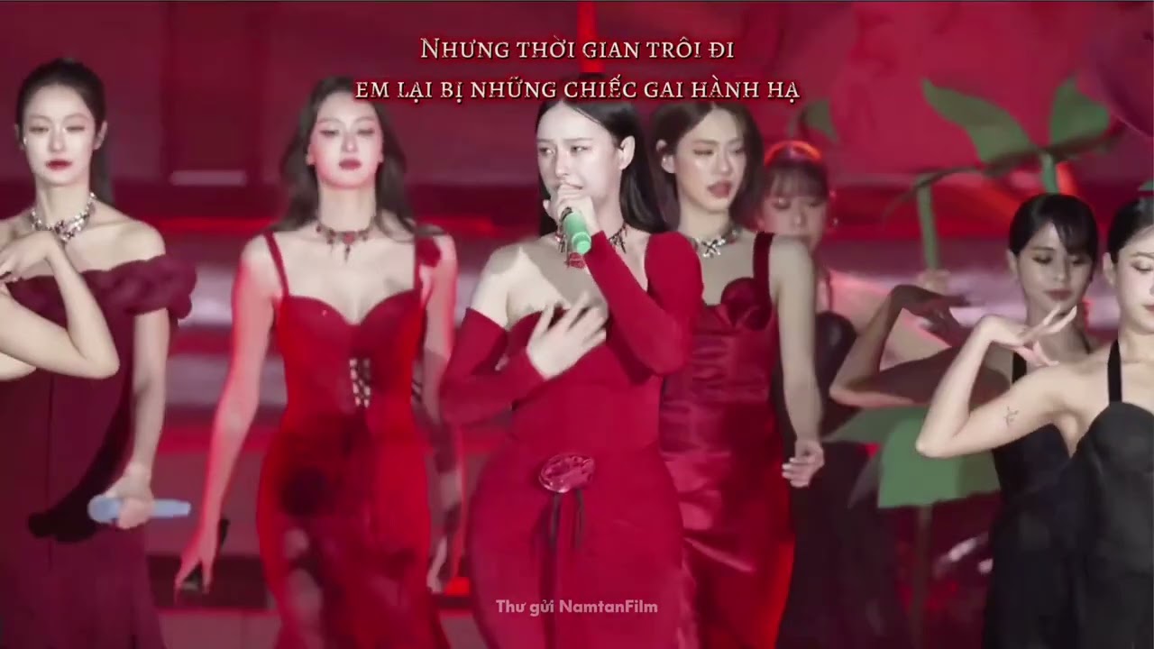 [Vietsub] กุหลาบ (Kularb) - Namtan, Emi, Milk, View in Blush Blossom Fan Fest 2025