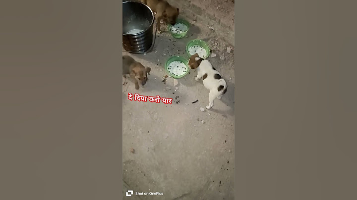 भूख सबको लगती है