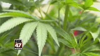 Parents Push Medical Marijuana for Autism Treatment