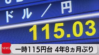 円安進み一時115円台（2021年11月23日）