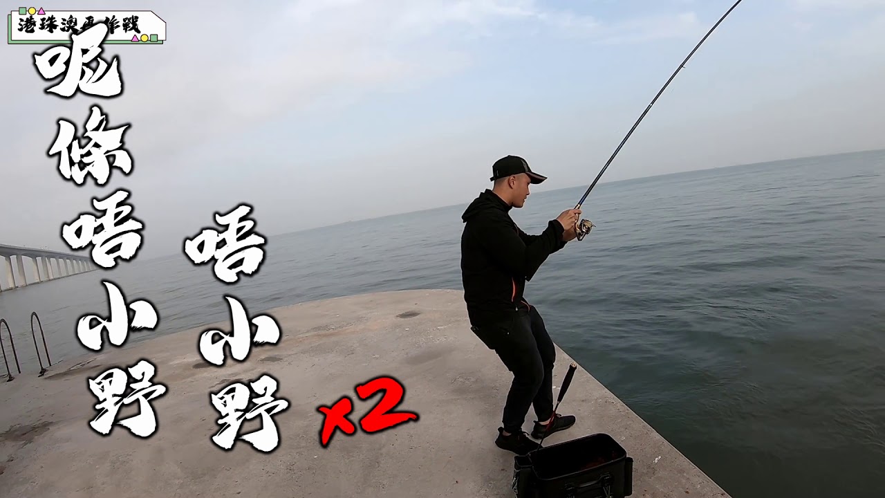 年新製品 Daiwa Luvias 開箱 ルビアス 開封 Youtube