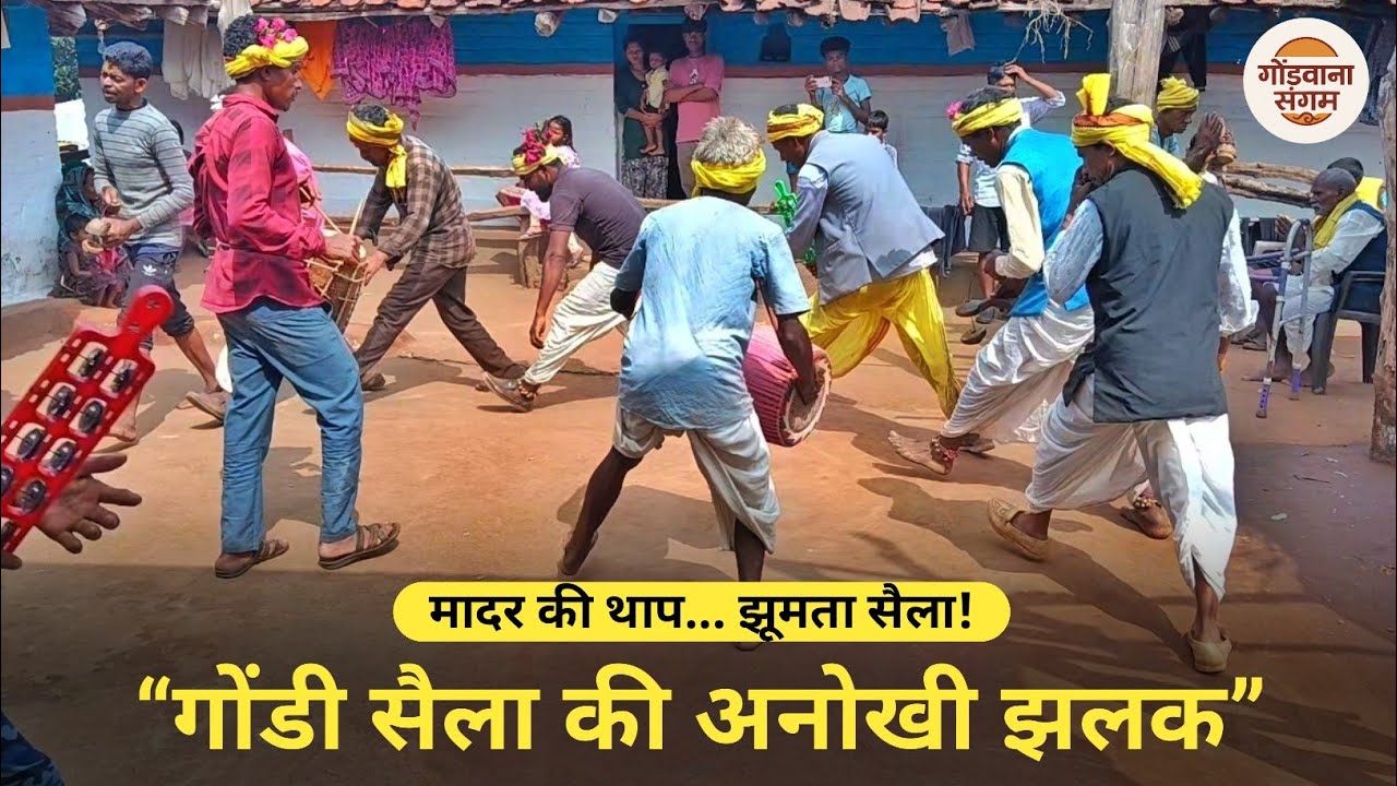 सैला डांस – रमपुरी की गोंडी परम्परा | झालर महुआ के पेड़ो | गोंडी लोकनृत्य