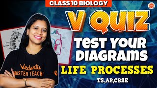 V QUIZ | Test Your Diagrams | Class 10 Biology TS, AP,