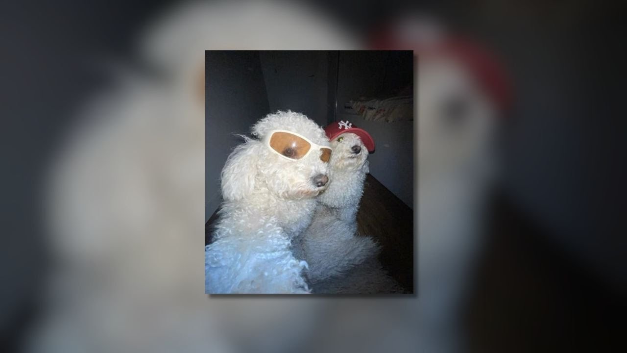 halo - quevedo (speed up)