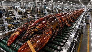 Inside a Massive Lobster Factory: How They're Harvest at an Insane Scale