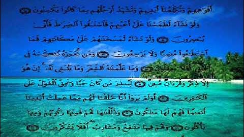 سورة يس   الشيخ وليد يوسف   الجزء الثاني