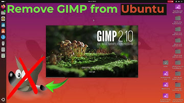 Uninstall or Remove GIMP from Ubuntu (Step-by-Step Guide)