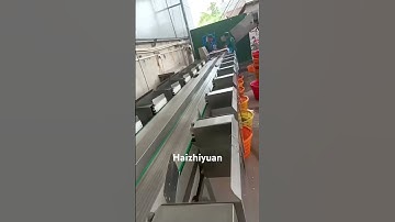 Fish weight sorting machine #seafoodprocessing #food #fishfactory #fishing #fishprocessing