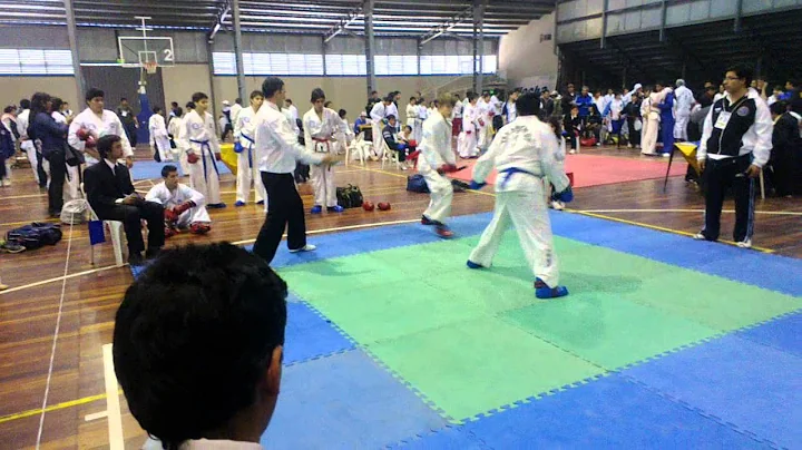 Torneo Nacional de Tkd Itf Chaco 2013. Abel Lezcan...