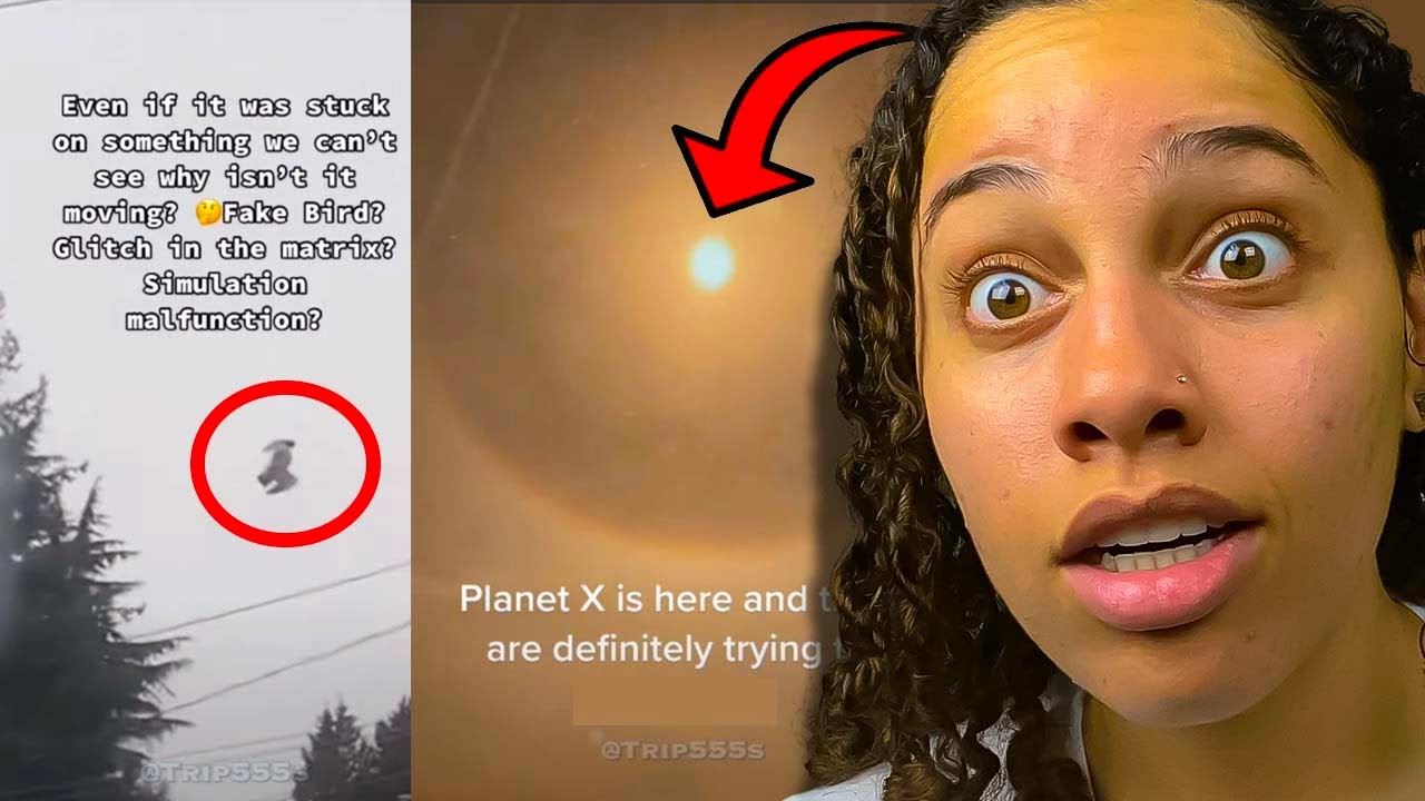 MIND BLOWING Videos that are Leaving Internet users Shocked‼️