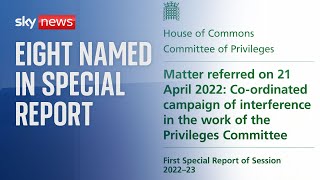 Privileges committee 'special report' on partygate published screenshot 5