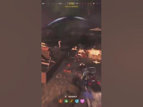 Dog breaks kazimir grenade - YouTube