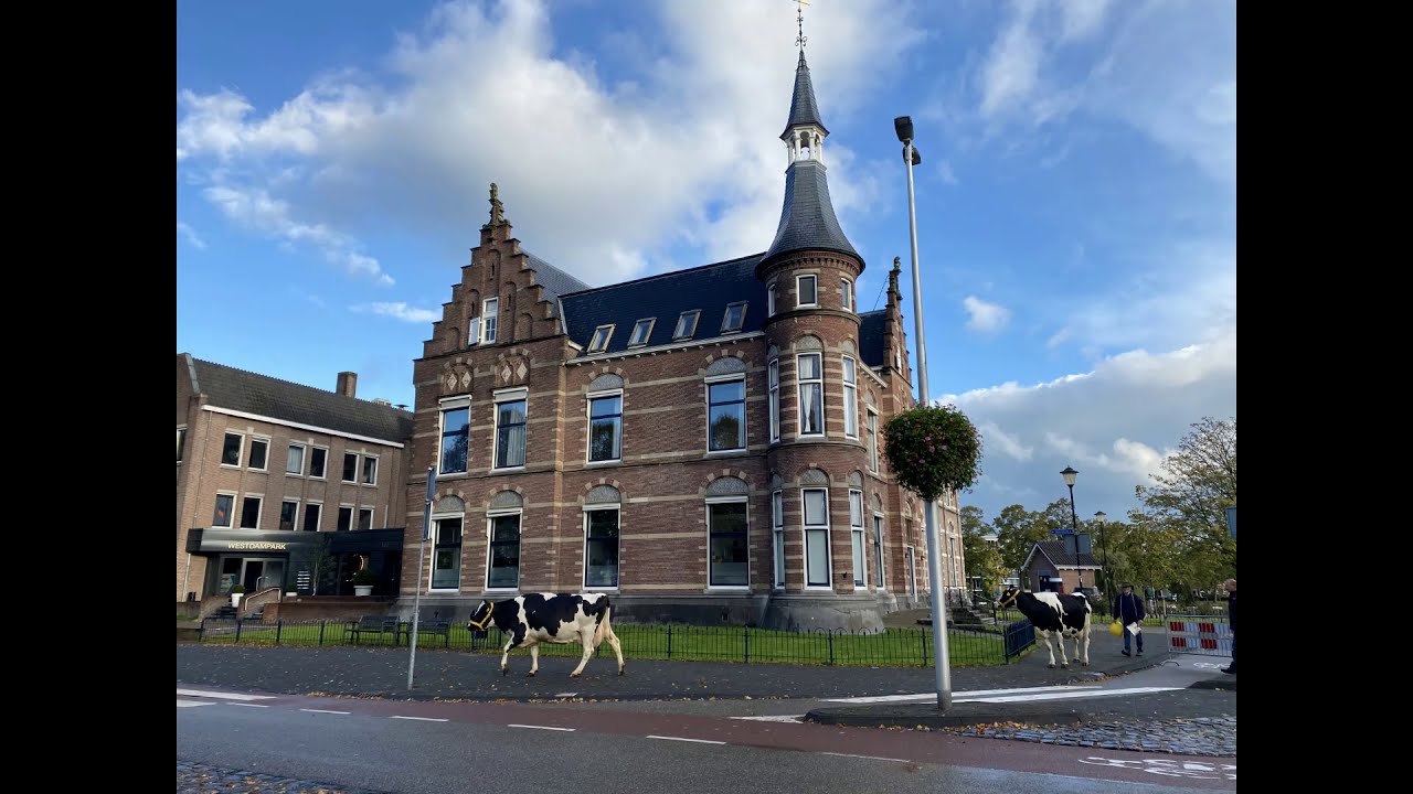 De Koeiemart-film wandeling