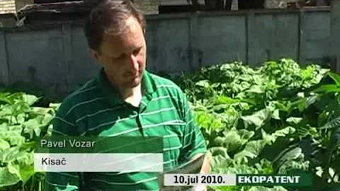 Co jsou hlavní biogenní prvky hnojiva?