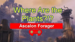 Guild Wars 2 - Ascalon Forager Daily - Every Map