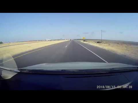 Car vs hawk (?) - Car vs hawk (?)
