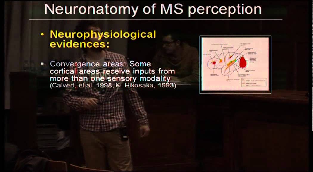 Embracing the world: our brain combines optimally information from the different sensory modalities